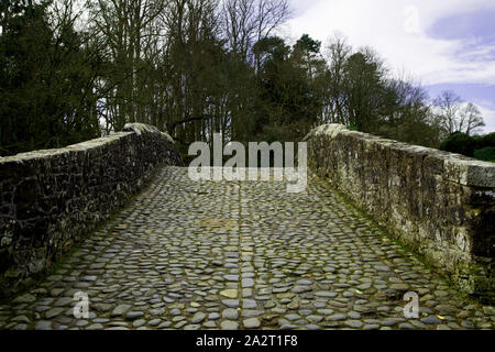 Old cobbled Brig O Doon at Alloway Ayr Scotland Stock Photo