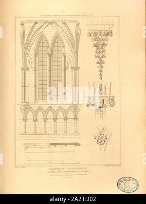 Lincoln Cathedral, chapter house, compartment, Lincoln Cathedral, Lincolnshire, signed: Drawn by A. Pugin; Etch'd by J. Le Keux; Published by Longman & Co, Fig. 54, p. 260, Pugin, Augustus Charles (drawing); Keux, John Le (etching); Longman & Co. (published), 1820, John Britton: The architectural antiquities of Great Britain: represented and illustrated in a series of views, elevations, plans, sections and details of various ancient English edifices: with historical and descriptive accounts of each. Bd. 5. London: J. Taylor, 1807-1826 Stock Photo