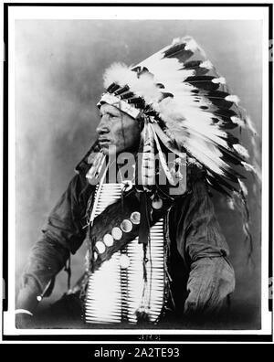 Red Bird, Sioux Indian, half-length portrait, seated, facing left, wearing feathered headdress Stock Photo