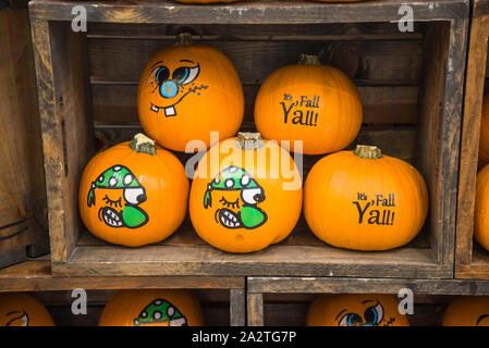 Fall pumpkins and gourds on sale in a supermarket. Stock Photo