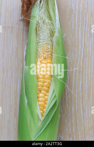 Fresh corn Stock Photo