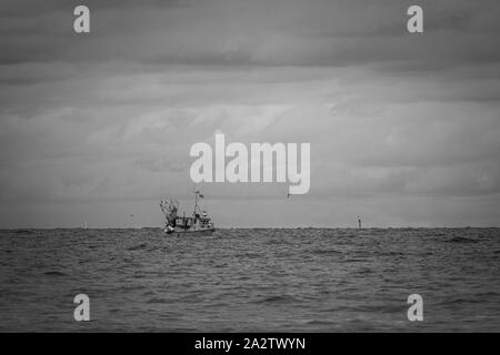 Far On The Sea Floats A Fishing Boat Which Is Surrounded By Many Seagulls And The Sky Is Full Of Clouds Stock Photo Alamy