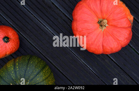 Three pumpkins in bright colors lie in the fall around dark wooden planks and form a frame with space in the middle Stock Photo