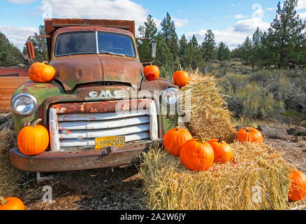An old, rusty truck is decorated with pumpkins and hay bales just before Halloween. Stock Photo