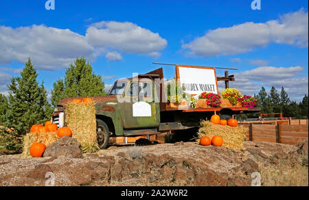 An old, rusty truck is decorated with pumpkins and hay bales just before Halloween. Stock Photo