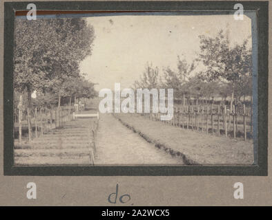 Photograph - Warloy-Baillon Communal Cemetery, France, Sergeant John Lord, World War I, 1916-1917, Black and white photographic print which depicts the Warloy-Baillon Communal Cemetery. Warloy-Baillon is a small village located in the Somme region. It was only ten miles east of Warloy-Baillon that the British Army launched the Battle of the Somme. For this reason many field ambulances were sent to Warloy-Baillon prior to the battle to prepare for the attack on the Germans Stock Photo