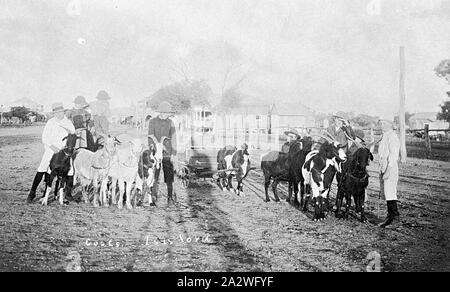 Negative - 'Goats', Isisford, Queensland, circa 1915, A group of boys with goat carts. The shadow of the photographer and his tripod falls across the centre group Stock Photo