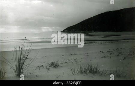 Lantern Slide - Sealers Cove, Wilsons Promontory, Victoria, Date Unknown, Black and white image of Sealers Cove at Wilsons Promontory photographed in the morning by J.K. Campbell, grandson of A.J. Campbell. This is one of many glass lantern slides that form the A.J. Campbell Collection held by Museums Victoria Stock Photo