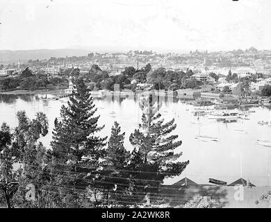 Negative - Launceston, Tasmania, circa 1915, Looking across the Tamar River towards Launceston Stock Photo