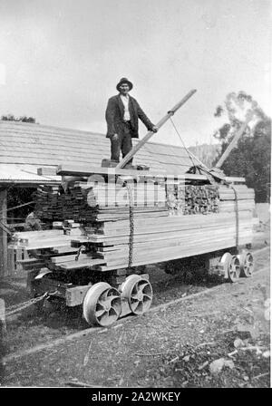 Negative - Colac, Victoria, circa 1925, A man with a load of milled timber loaded on a rail truck. There is a small building in the background Stock Photo
