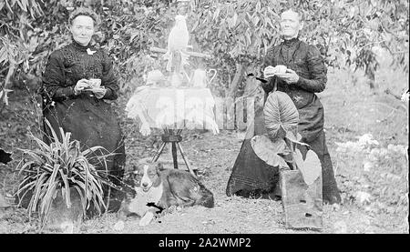 Negative - Two Women in a Garden Having Afternoon Tea, Amherst, Victoria, 1910, Two women having afternoon tea in a garden setting. There is a dog in front of the table and a cockatoo on a perch behind Stock Photo