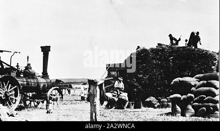 Raglan victoria hi-res stock photography and images - Alamy