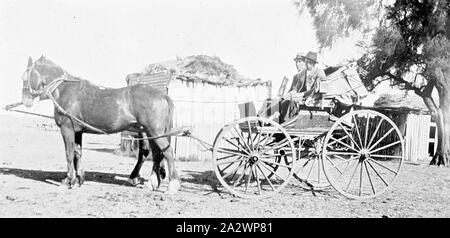 Negative - Wail East, Victoria, circa 1920, Two men in a horse-drawn buggy. There are farm outbuildings in the background Stock Photo