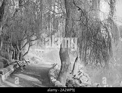 Negative - Cataract Gorge, Launceston, Tasmania, circa 1900, A path and seats beside the South Esk River in the Cataract Gorge. The Cataract bridge is in the background Stock Photo