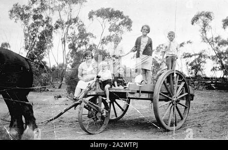 Negative - Kurnwill, Victoria, circa 1930, A woman and five children on a three-wheeled cart drawn by a horse. They are on 'Hillcrest' farm Stock Photo