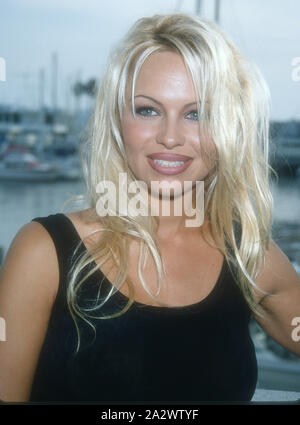 Pam Anderson, 1994 Photo By Michael Ferguson/PHOTOlink Stock Photo - Alamy