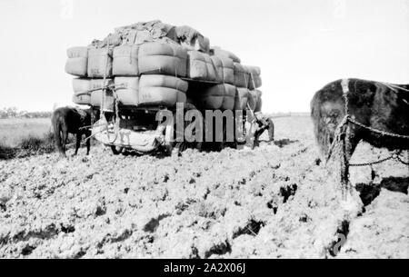 The wheel of the railway wagon Stock Photo - Alamy