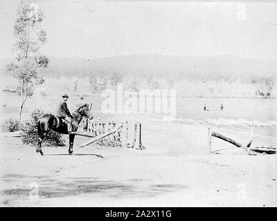 Negative - Shelbourne, Victoria, circa 1895, Men rounding up sheep. There is a man on horseback in the foreground and two men and a dog in the distance Stock Photo