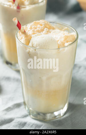 Homemade Ginger Beer Boston Cooler with Ice Cream Stock Photo