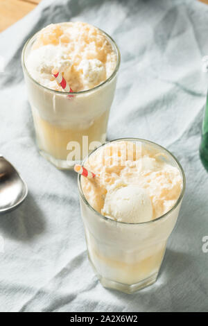 Homemade Ginger Beer Boston Cooler with Ice Cream Stock Photo