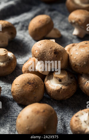 Raw Organic Baby Bella Mushrooms Ready to Cook Stock Photo