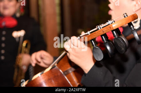 Traditional Mariachi Musician Mexican Singer Stock Photo