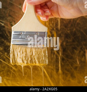 Hand holds a paintbrush with dripping golden paint over background in gold colors. Stock Photo