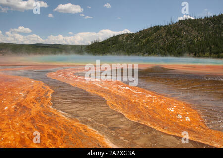 The fragile crust bordering Grand Prismatic Spring geothermal feature  in Yellowstone National Park USA