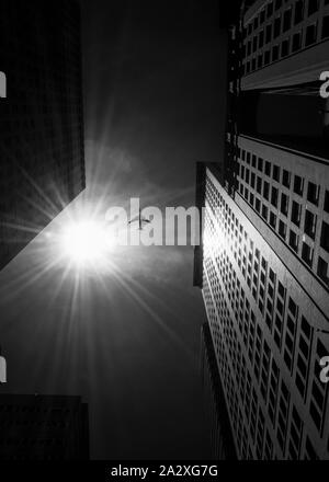 Low angle black and white photo of airplane flying in Manhattan Stock Photo