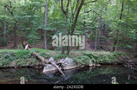 Rock Creek Park, NW, Washington, D.C Stock Photo