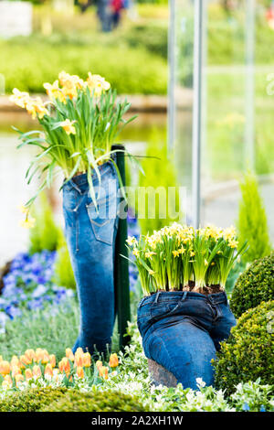 modern garden design with jeans pot Stock Photo