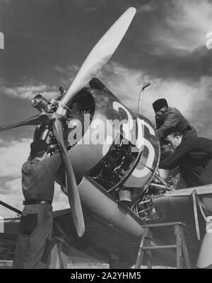 Airplane engineers.Three mechanics are performing the important last minute check of engine details before start. The airplane is a swedish single propeller engine light bomb and survaillance unit model B5. The swedish company Saab Svenska Aeroplan AB produced this airplane on license from American Northrop and their model 8A-1.  Picture taken in the 1940s during the second world war. Stock Photo