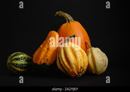 Top view of orange pumpkins isolated on black background, studio shoot, copy space, empty space for text, detailed pumpkin Stock Photo