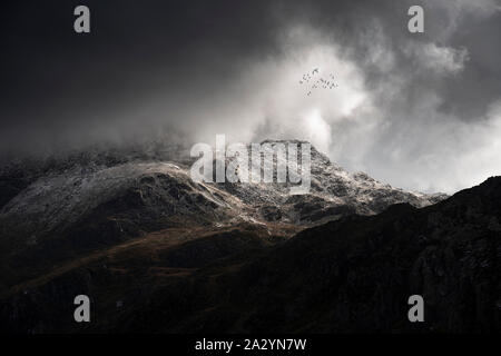Stunning moody dramatic Winter landscape image of snowcapped Tryfan mountain in Snowdonia during stormy weather with birds flying high above Stock Photo
