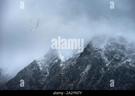 Stunning detail landscape images of snowcapped Pen Yr Ole Wen mountain in Snowdonia during dramatic Winter storm with birds flying high above Stock Photo