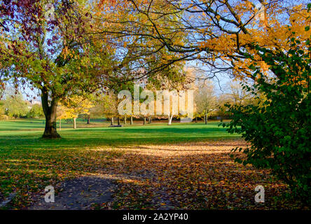 Stonegrove Park, Edgware, Northwest London in Autumn with fallen leaves ...