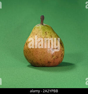 a single overripe comice pear sitting on bright green fabric showing details of color, texture and flaws Stock Photo