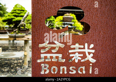 Bonsai Garden in Izu, Japan
