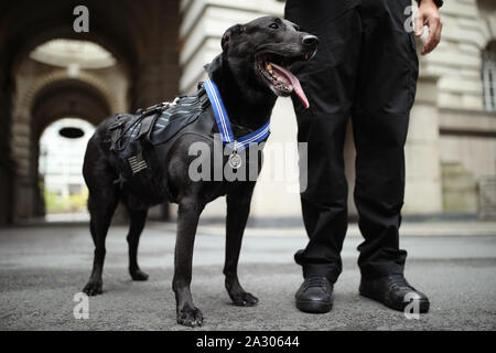 Handler Officer Marshall Mirarchi with US Secret Service dog, Special Operations Canine, Hurricane, as the 10 year old Belgian Malinois receives a PDSA Order of Merit at the County Hall Hotel in London. Stock Photo