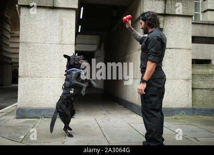 Handler Officer Marshall Mirarchi with US Secret Service dog, Special Operations Canine, Hurricane, as the 10 year old Belgian Malinois receives a PDSA Order of Merit at the County Hall Hotel in London. Stock Photo