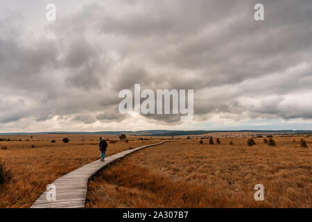 Strollers in nature reserve High Fens, Belgium. Stock Photo