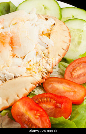 A traditional dressed crab salad Stock Photo