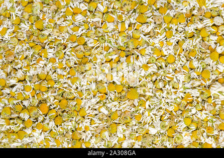 Dried chamomile blossoms, background. Camomile tea, the flowers of Matricaria chamomilla, used for herbal infusions and in traditional medicine. Stock Photo
