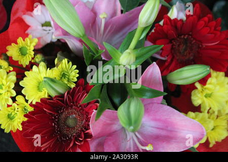 Pretty Italian flowers with leaves - image Stock Photo