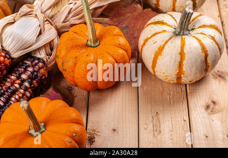 Group of mini pumpkins and indian corn on a rustic wooden table with copy space Stock Photo