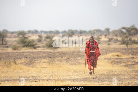 Arusha, Tanzania, 7Th September 2019: old maasai man walking in the nature Stock Photo