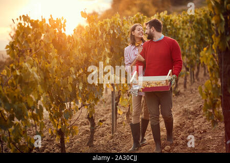 Autumn vineyards. Smiling man and woman in the vineyard during sunrise. Stock Photo
