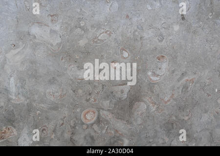 Smooth stone texture is gray-beige with cracks, spots. Stock Photo