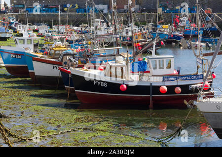 Mevagissey harbour with boats at anchor the village is within the Cornish Area of Outstanding Natural Beauty Stock Photo