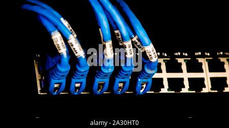Lan cables are connected with a hub. Stock Photo